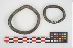 Foto von Bronzering (NHMW-PRAE-026327)